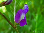 20070322 04.jpg